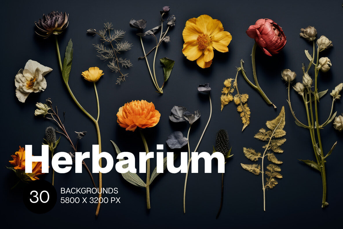 Herbarium Backgrounds 1