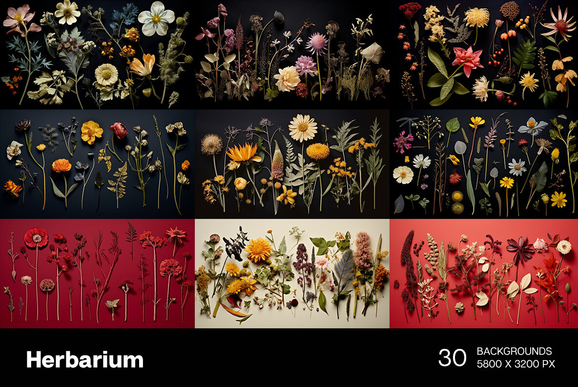 Herbarium Backgrounds 4
