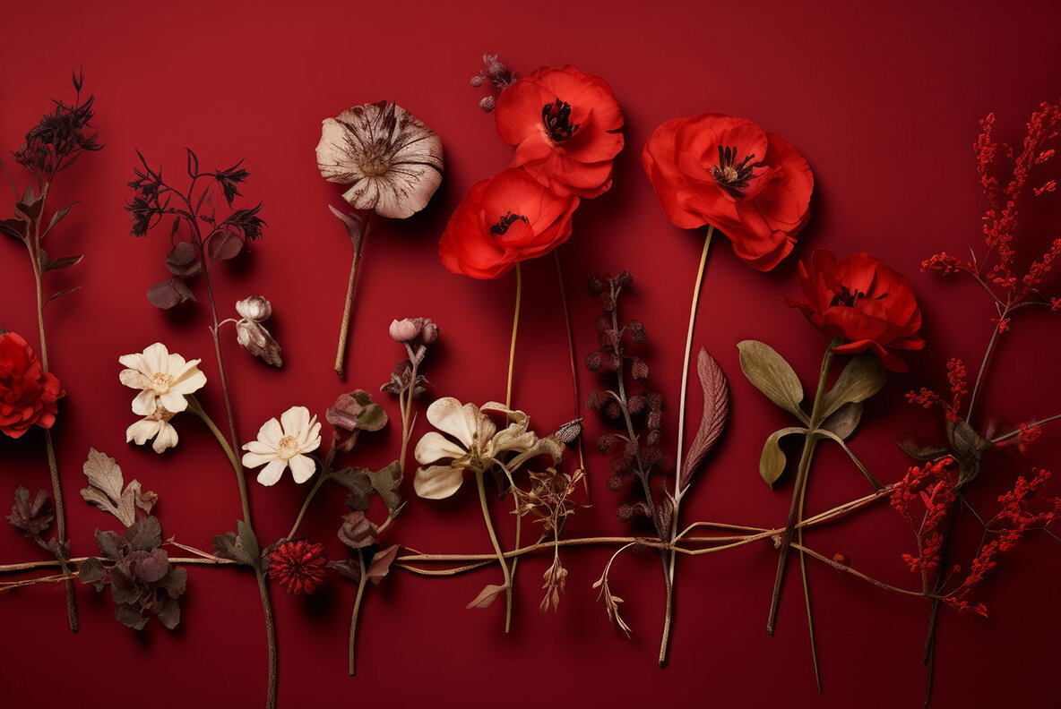 Herbarium Backgrounds 5