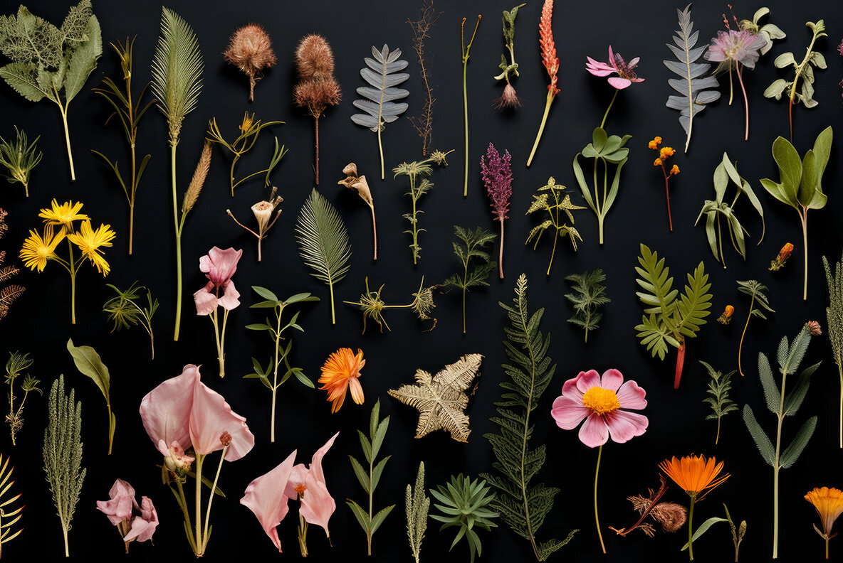 Herbarium Backgrounds 6