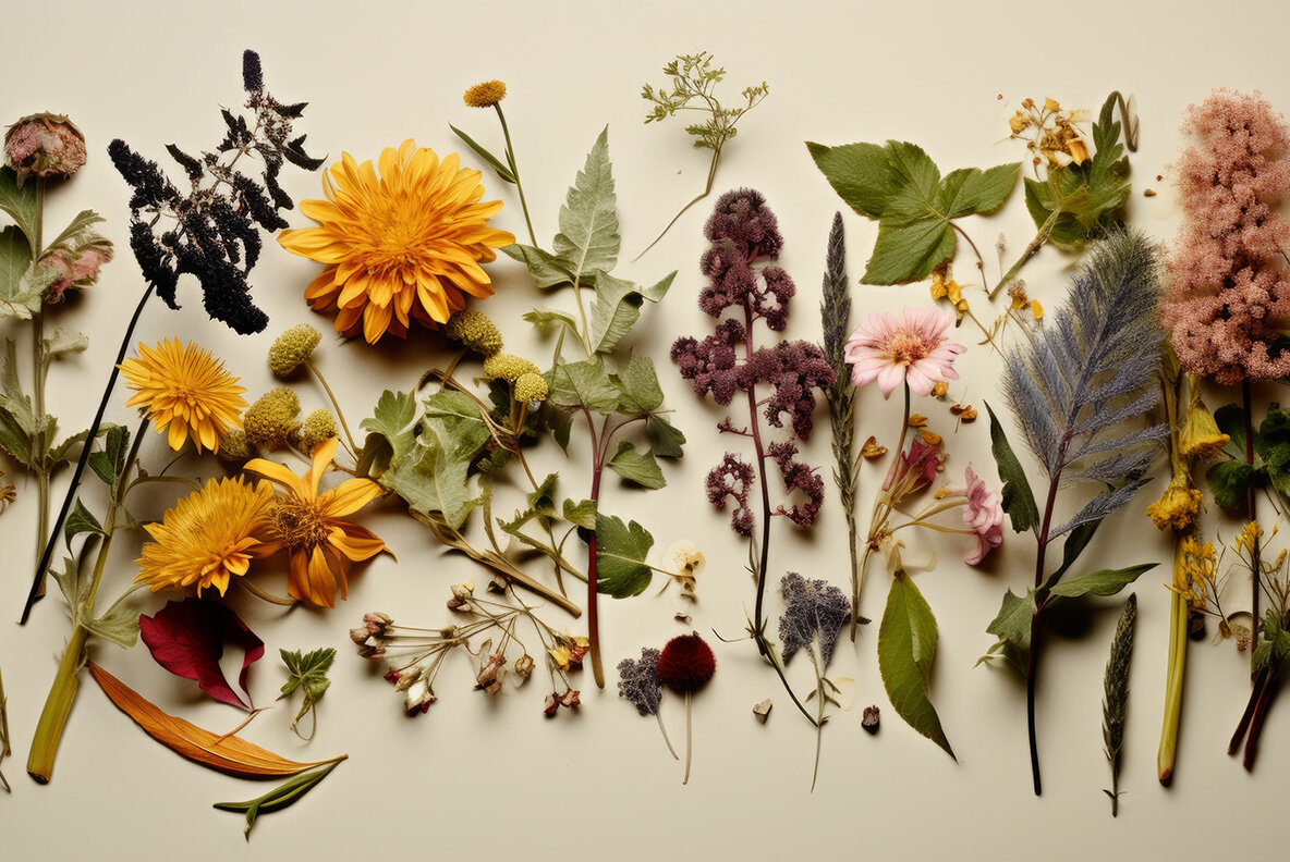 Herbarium Backgrounds 7