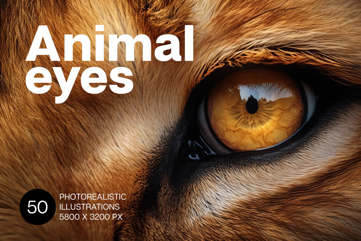 Animal Eyes 1