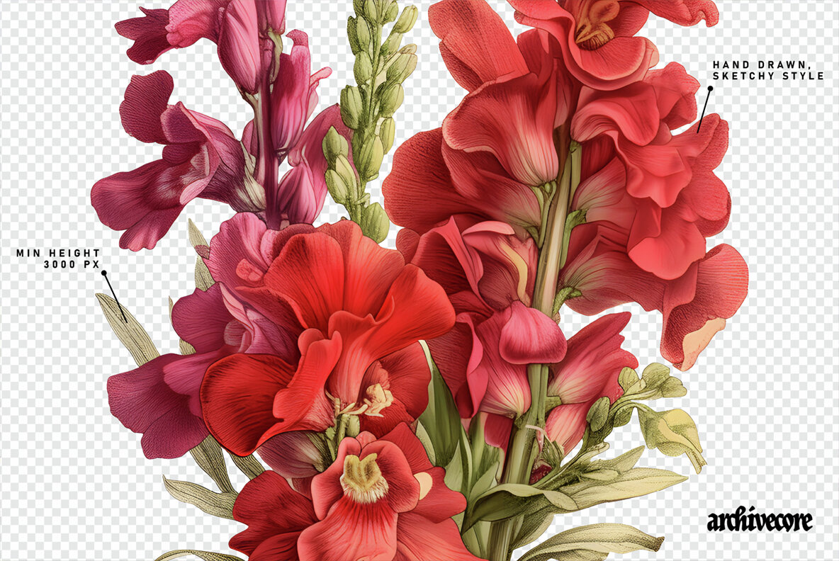 Vintage Book Of Flowers Clipart 5