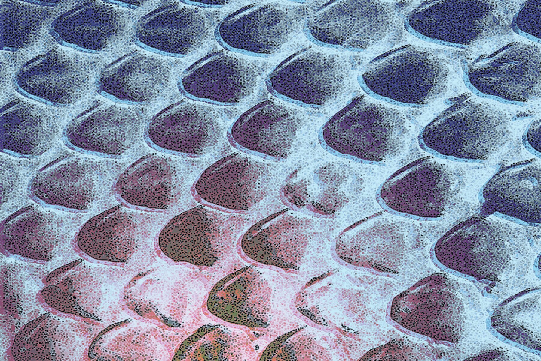 25 Animal Textures Pack 3