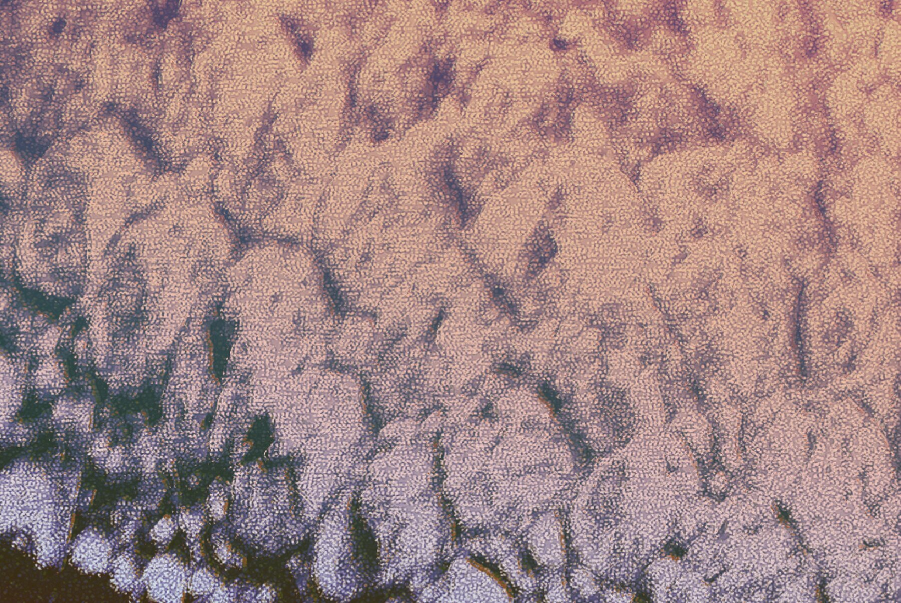 25 Animal Textures Pack Vol 2 3