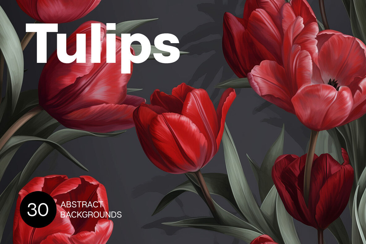 Tulips 1