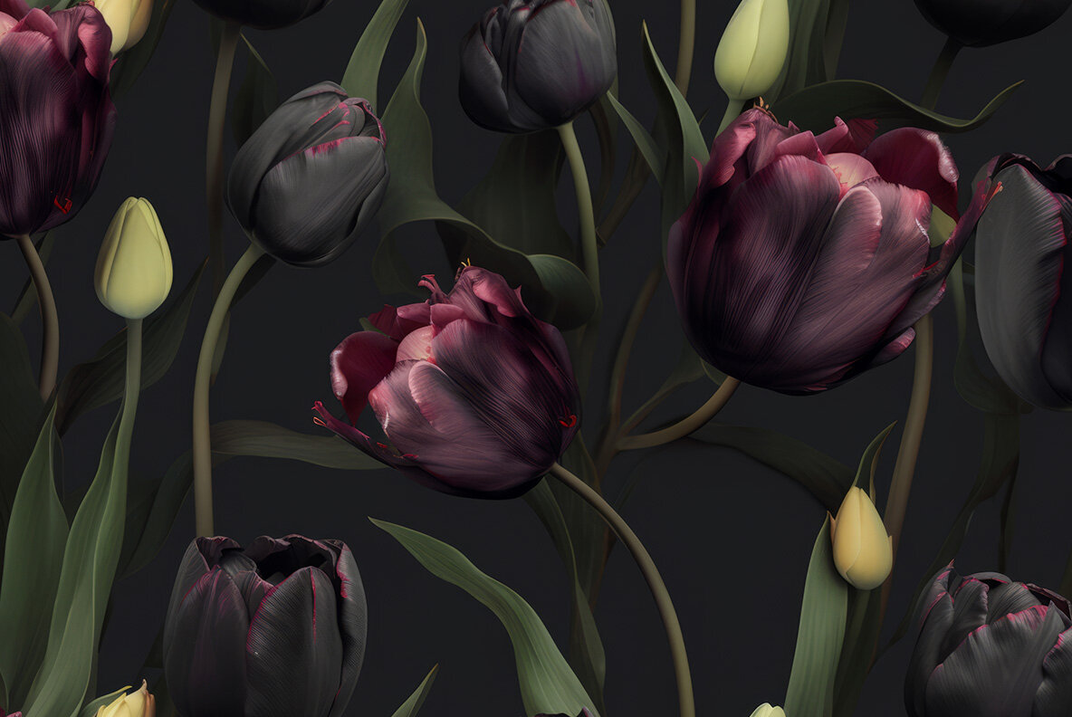 Tulips 5