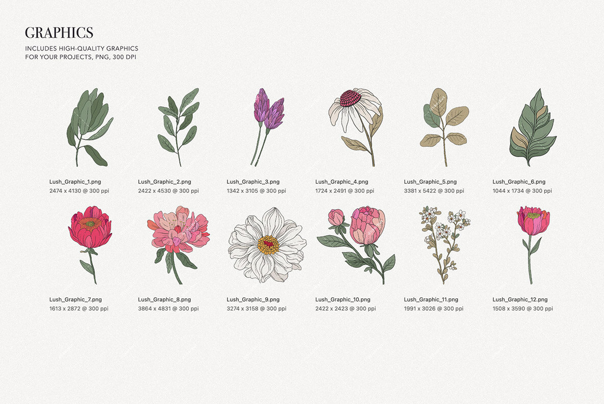 Lush Botanical Pattern and Graphics 9