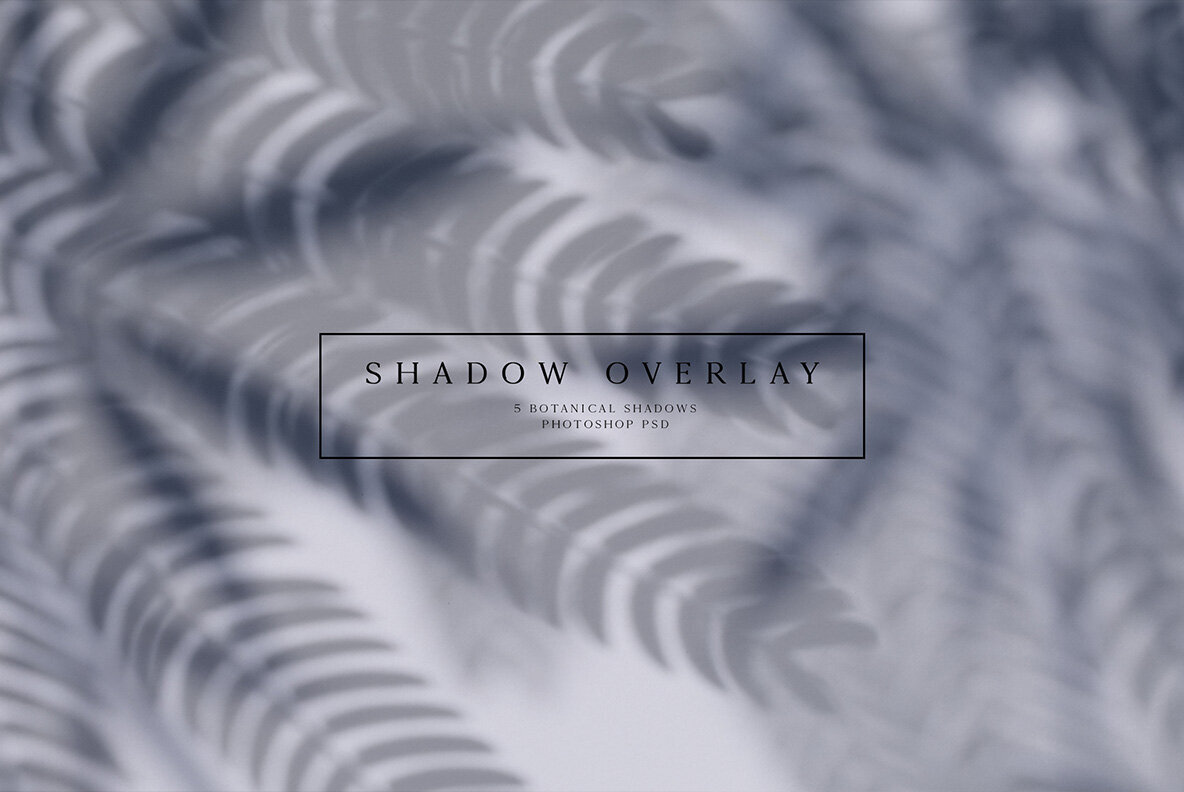 Botanical Shadow Overlays 1