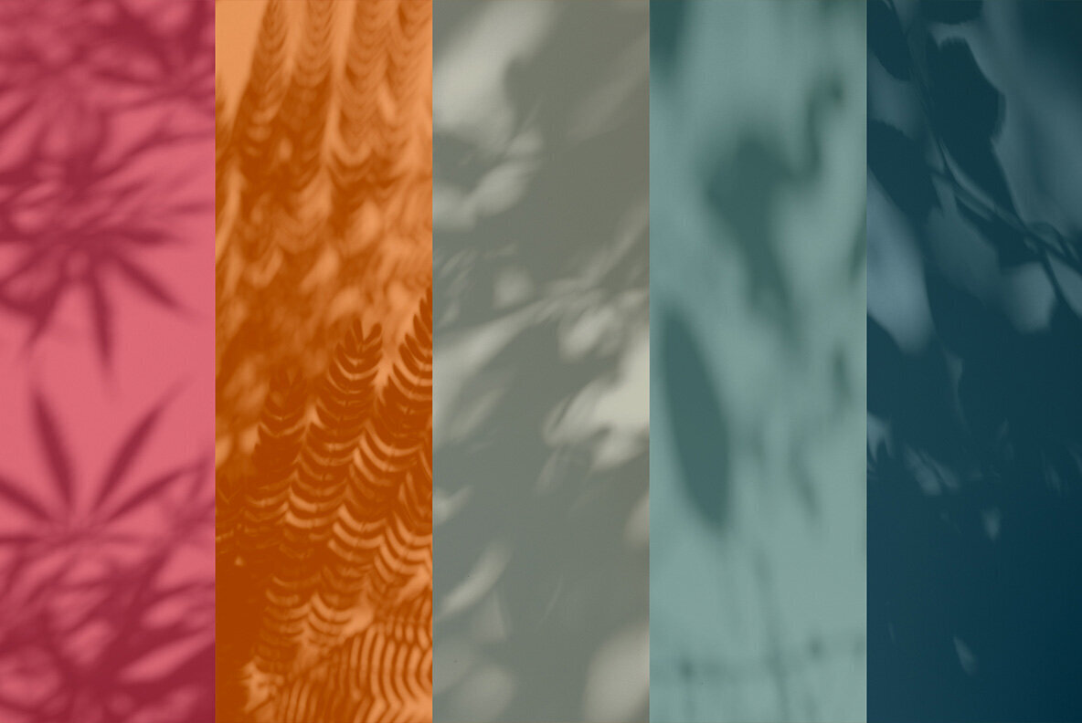 Botanical Shadow Overlays 2