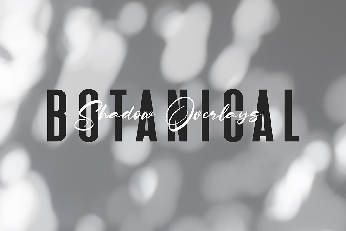 Botanical Sunbeams Shadow Overlays 1