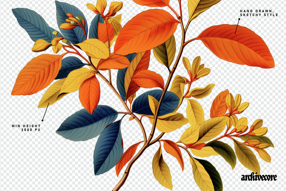 Book Of Flowers 2 Clipart 2