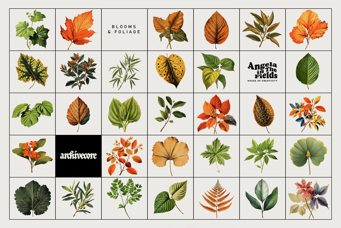 Book Of Flowers 2 Clipart 9