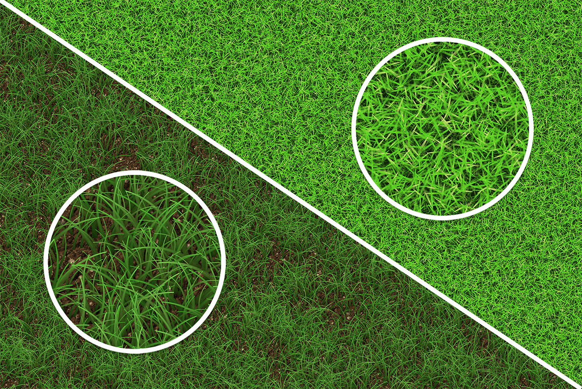20 Grass Background Textures 4