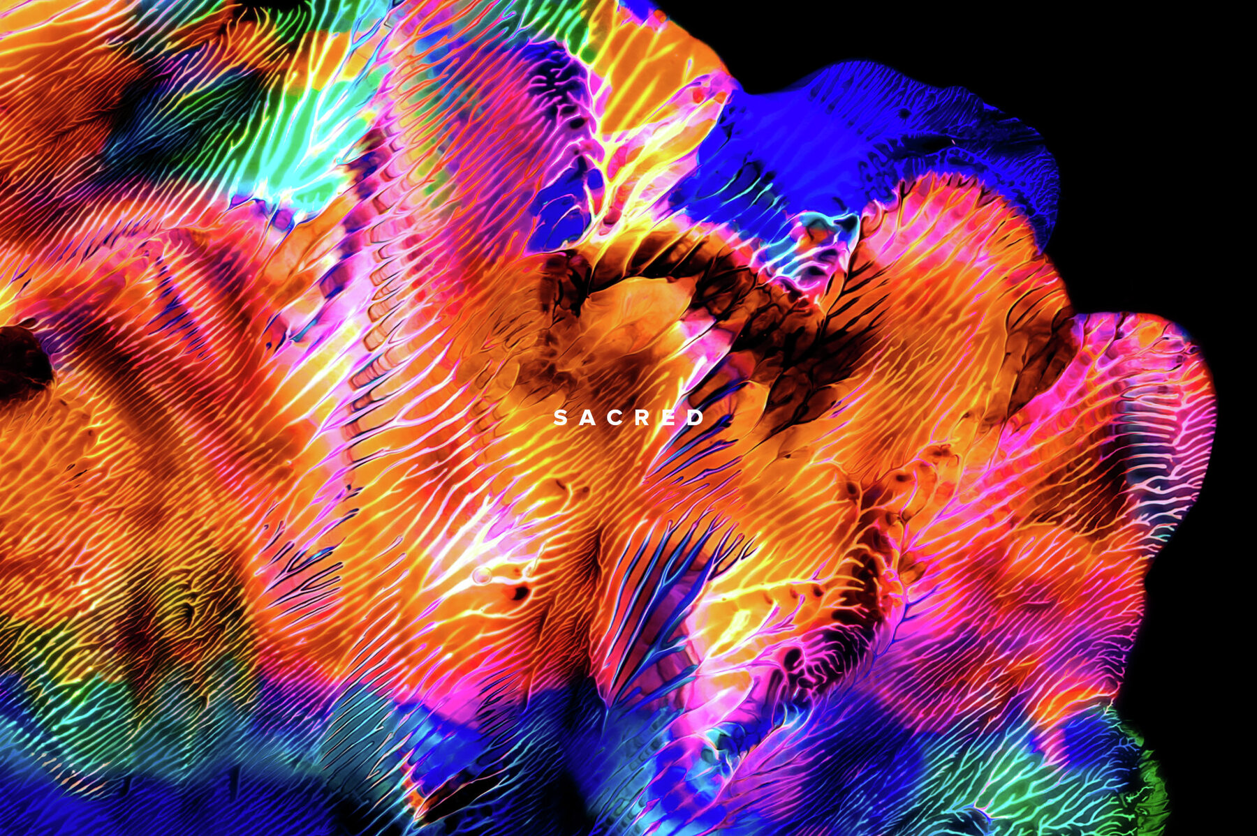 Sacred     Vibrant Paint Textures 4