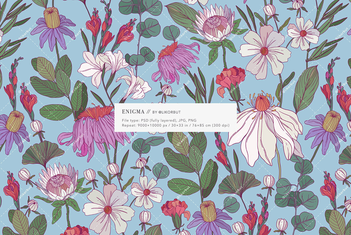 Enigma Floral Pattern and Graphics 2