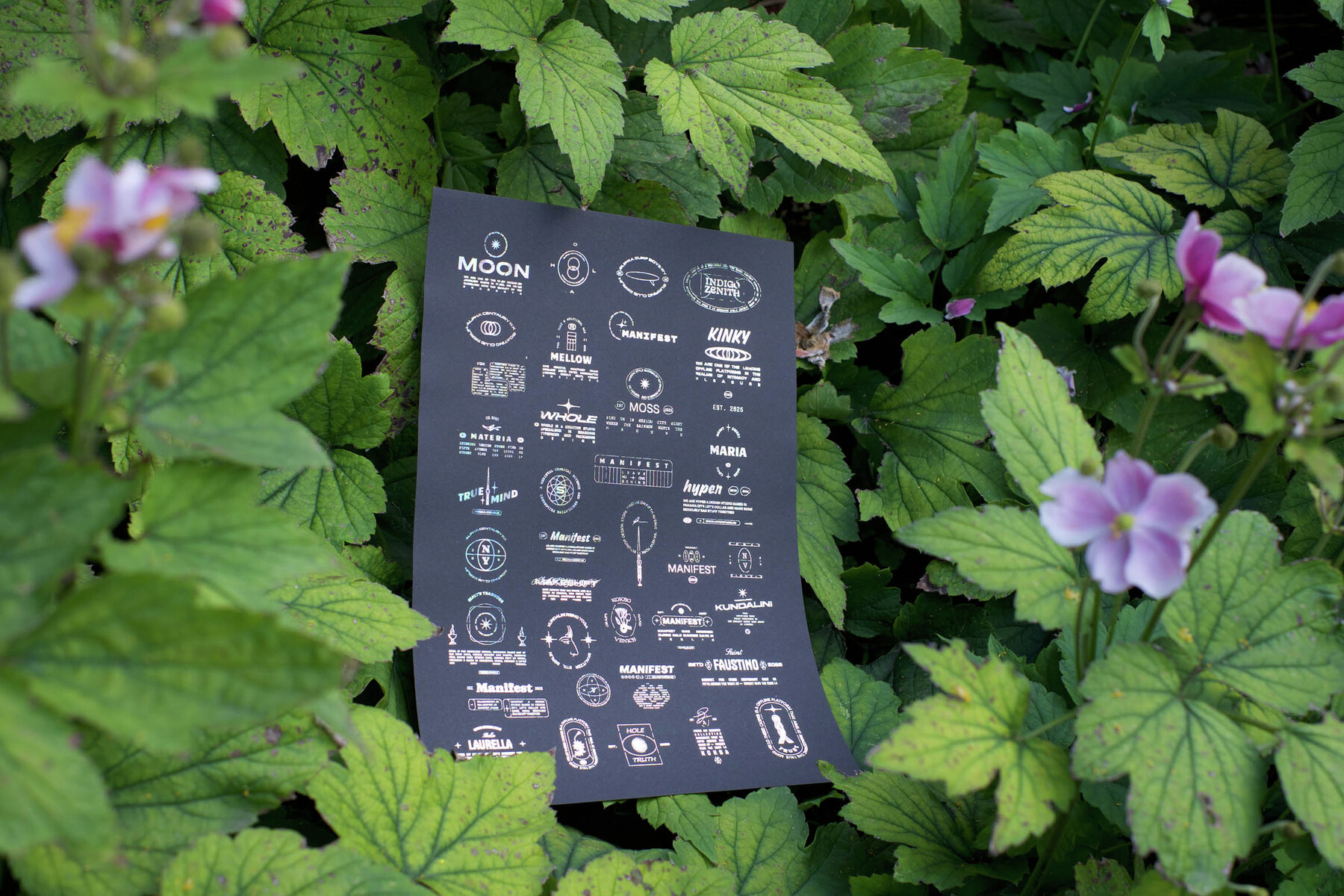 Manifest Logo Kit 20