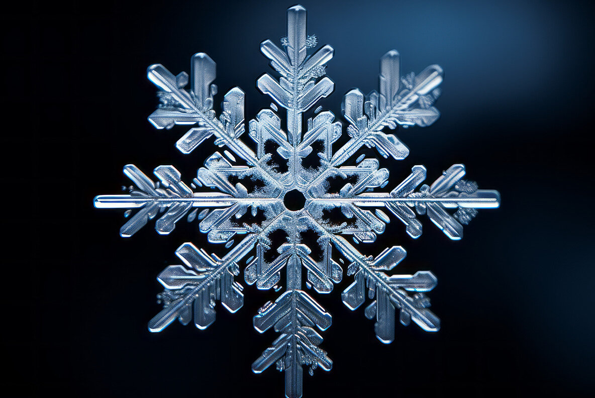 Snowflakes 8