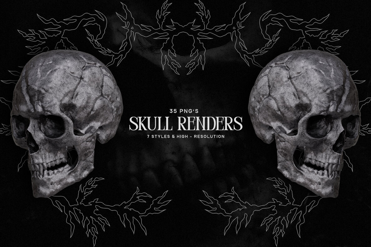 Skull Renders   35 3D Renders 1
