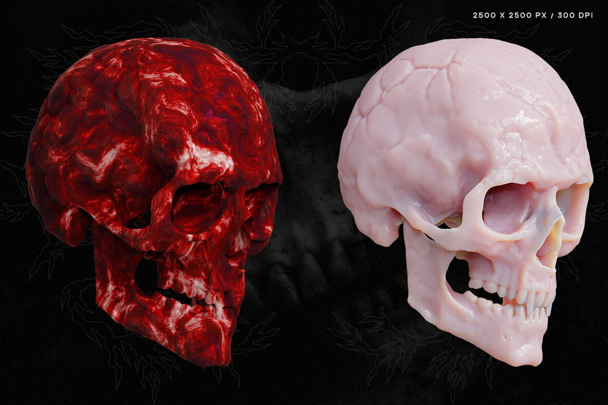 Skull Renders   35 3D Renders 3