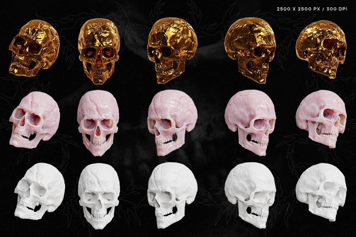 Skull Renders   35 3D Renders 5