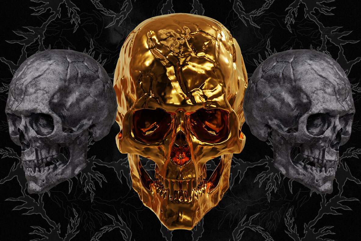 Skull Renders   35 3D Renders 7