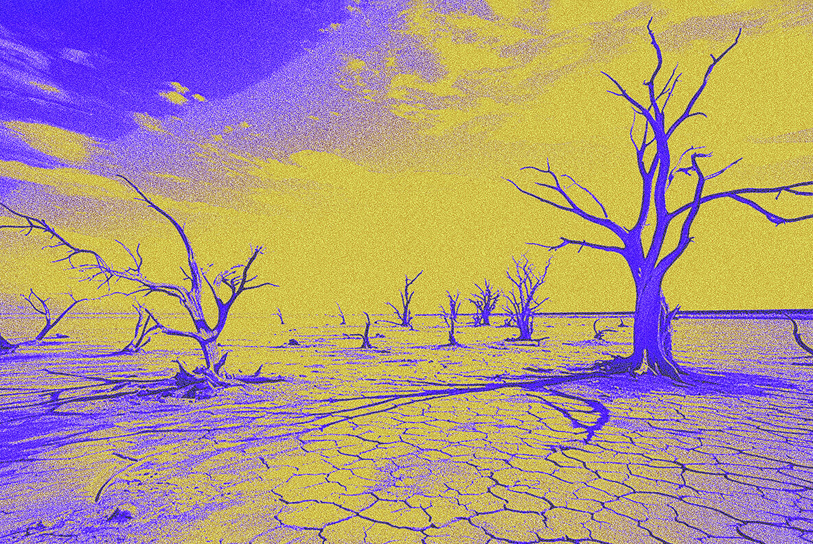 Acid Copier Photo Effect 5