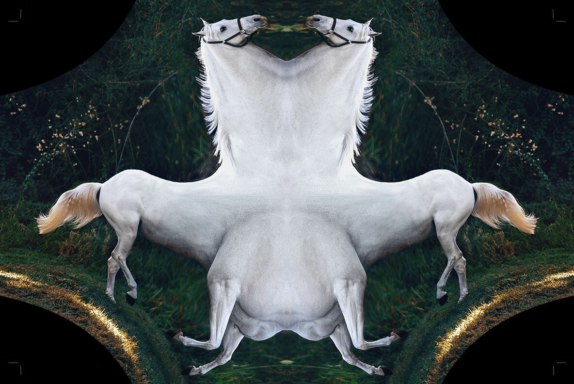 Unwrap Machine   Distort Warp Action 6