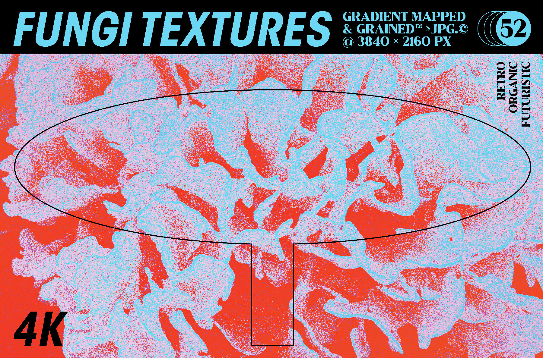 Fungi Textures Pack 1