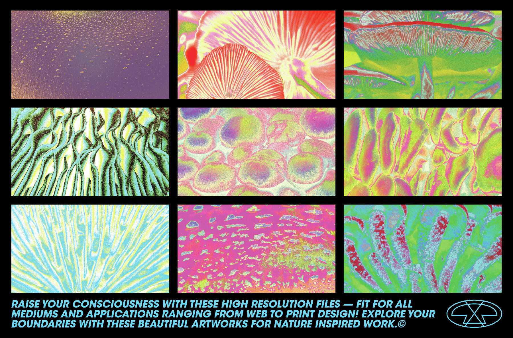 Fungi Textures Pack 2