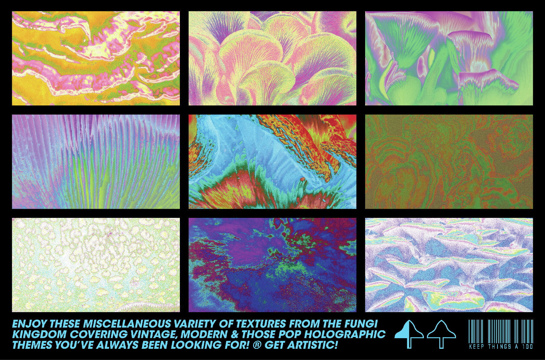 Fungi Textures Pack 3