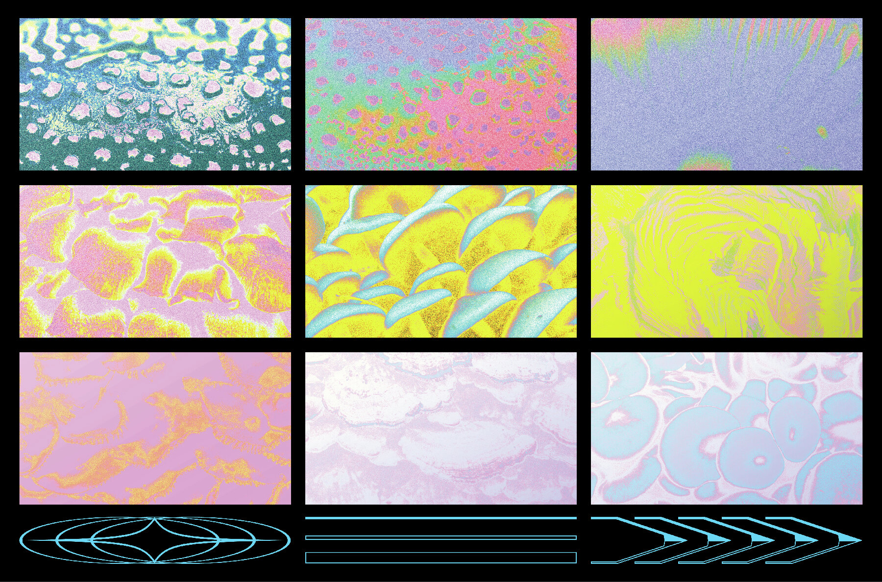 Fungi Textures Pack 4