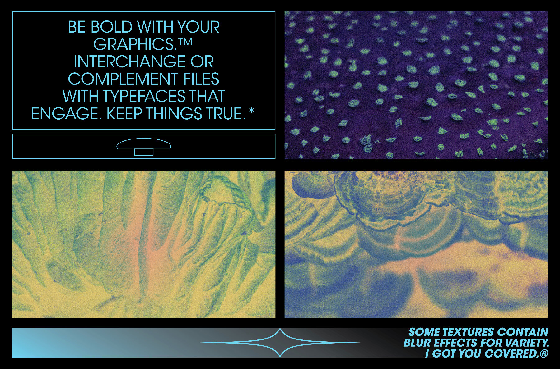 Fungi Textures Pack 7