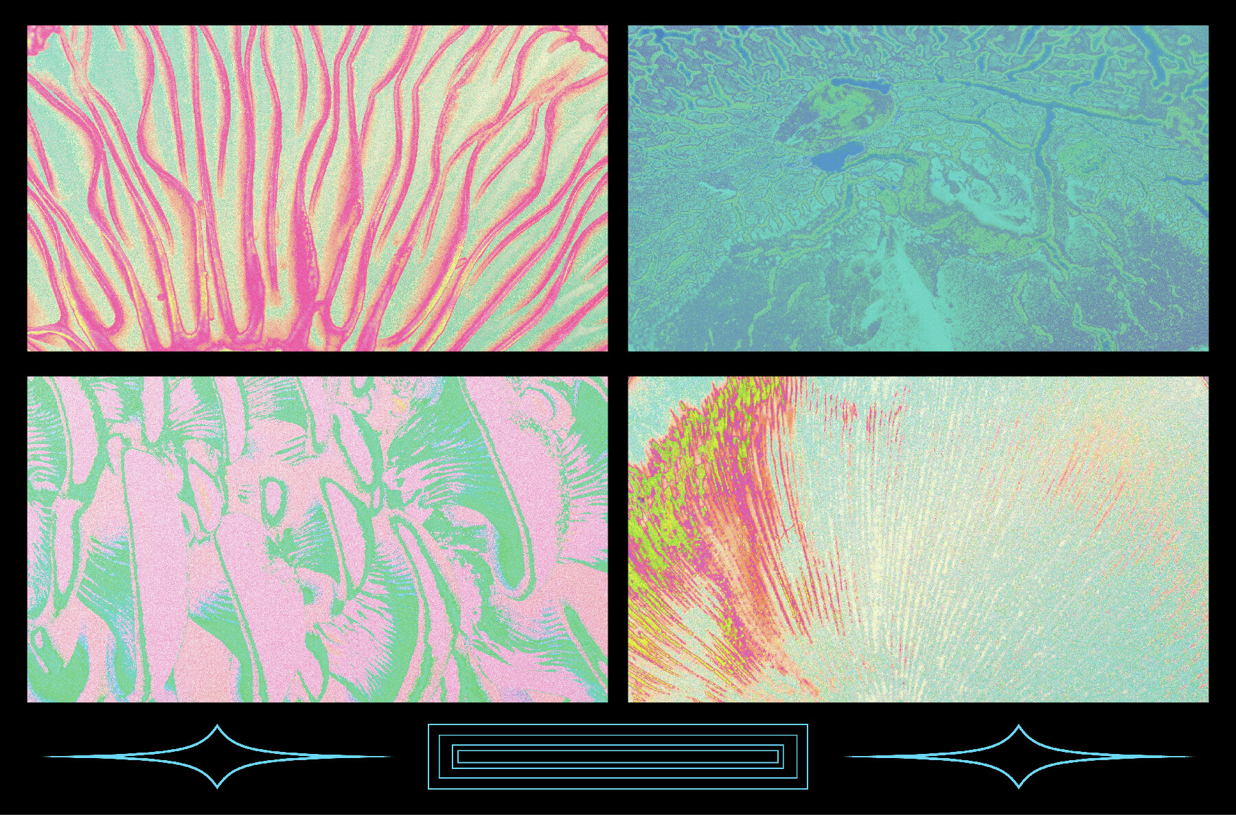 Fungi Textures Pack 8