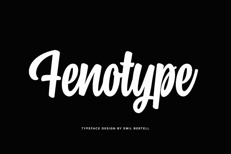 Download Fenotype Fonts Today!