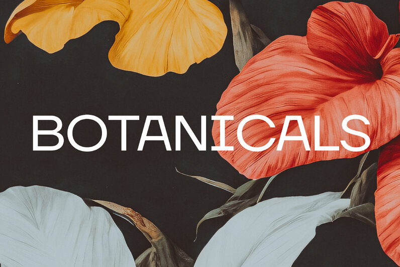 Luxurious Botanical Graphics for Chic Brands