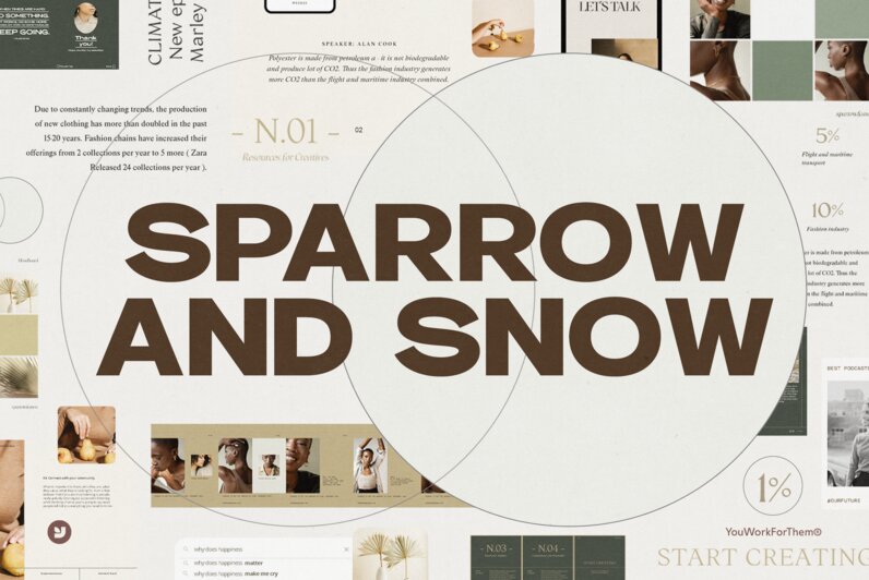 Sparrow And Snow