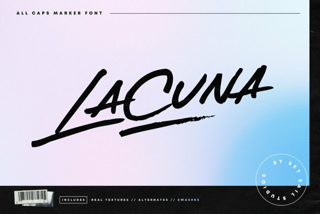 Newsletter Feature: Download 20 Images For Only $1 + Stunning New Fonts