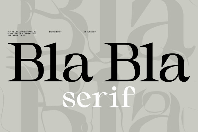 Bla Bla: Your Next Display Serif Font
