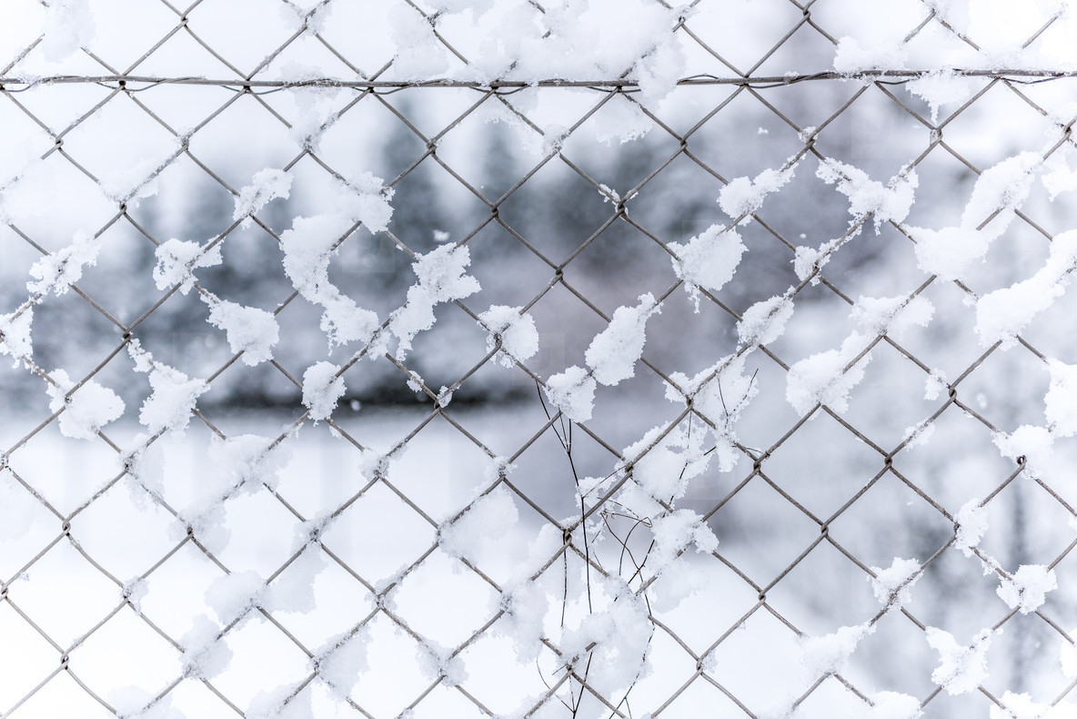 fence   chain   snow