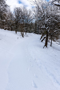 Winter way   Landscape