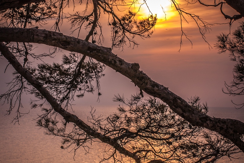 Sunrise at the ocean