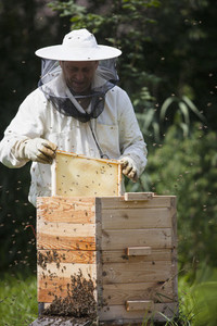 Beekeeping 01