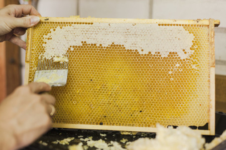 Beekeeping 08