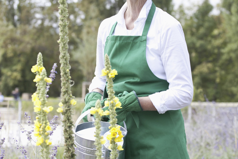 Advanced Outdoor Activities #08