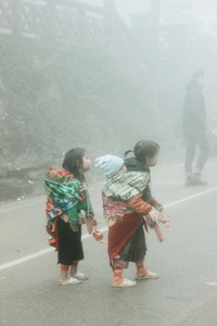 Hmong Children  Vietnam