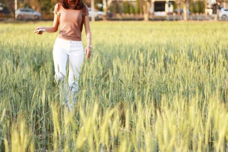 Young girl in wheat field 01