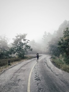 Country road with mist 04