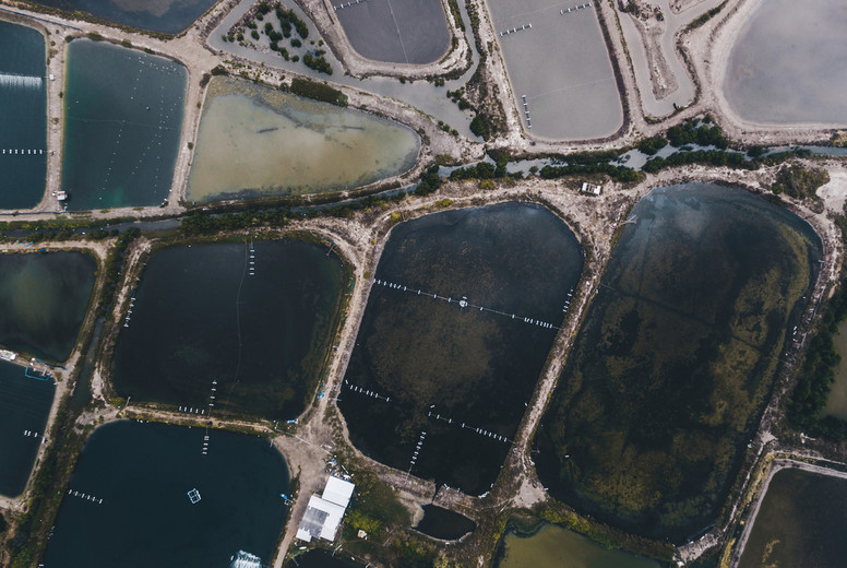 Fish Farms From Above 03