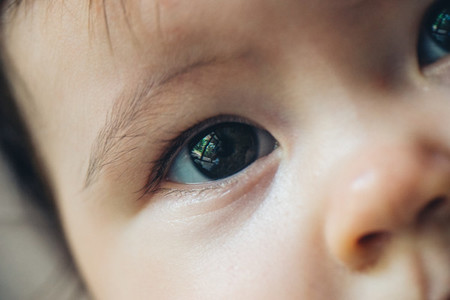 Baby Eye Closeup